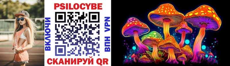 где найти наркотики  Южа  Псилоцибиновые грибы Psilocybe 